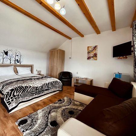 Vila Sofia Haţeg Екстериор снимка