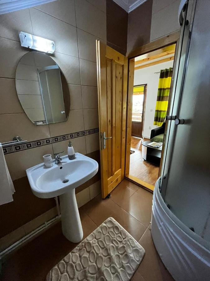 Vila Sofia Haţeg Екстериор снимка