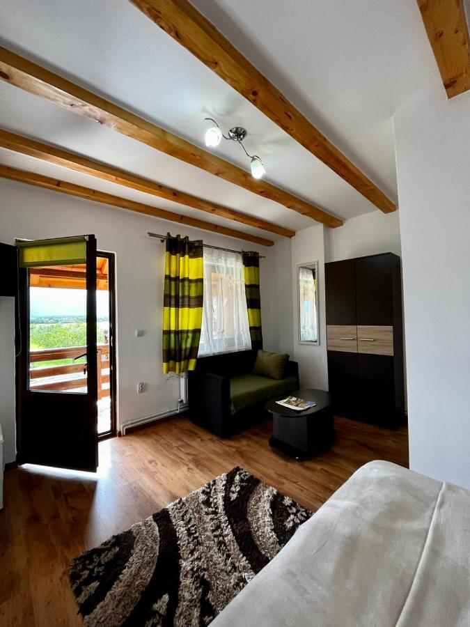 Vila Sofia Haţeg Екстериор снимка