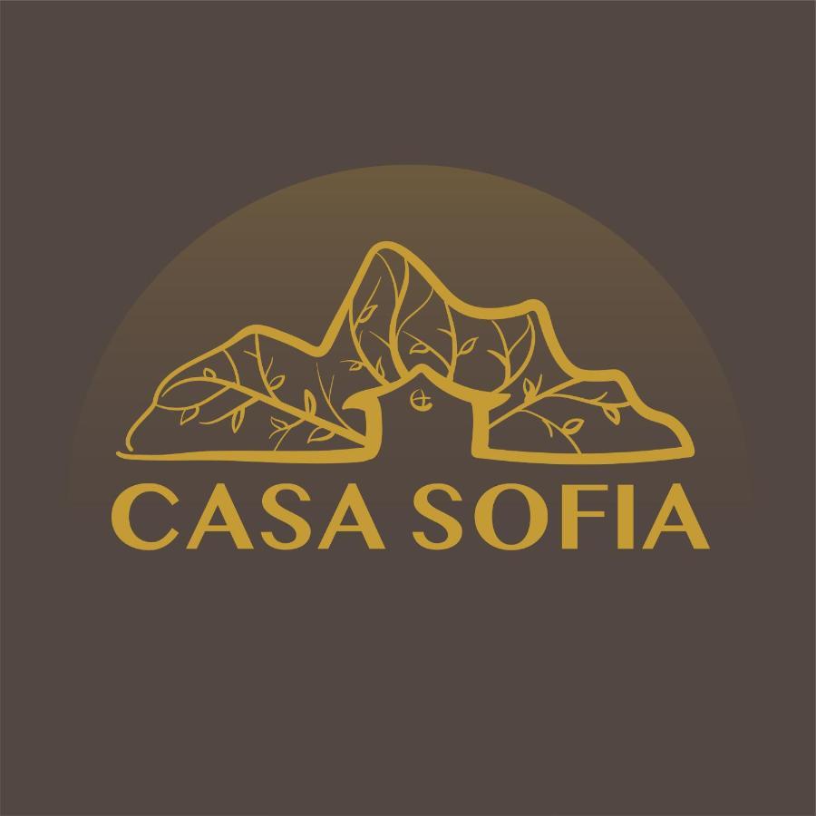 Vila Sofia Haţeg Екстериор снимка