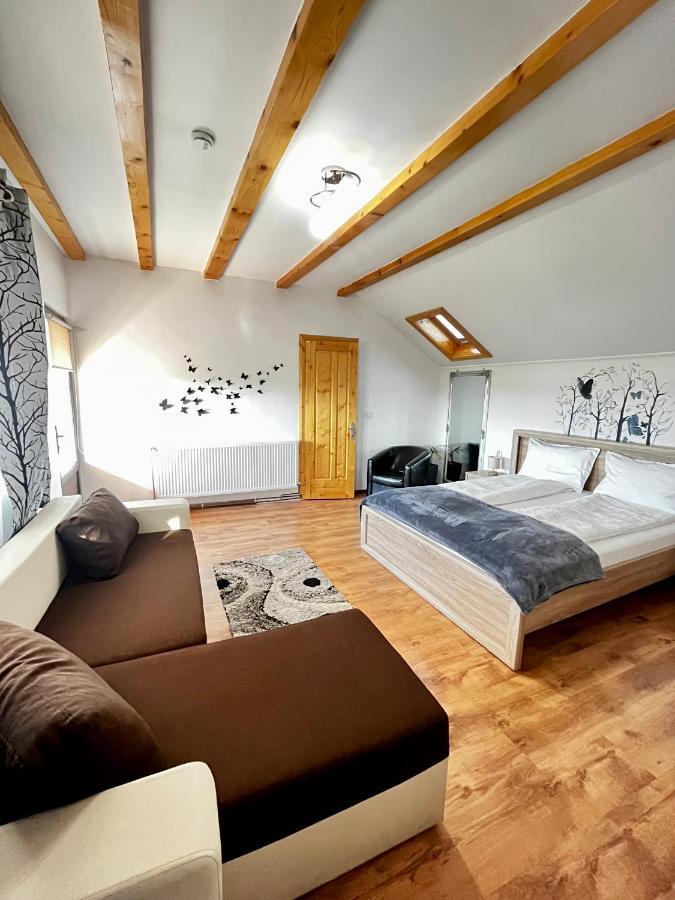 Vila Sofia Haţeg Екстериор снимка