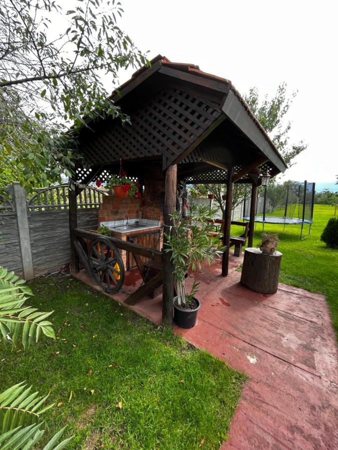 Vila Sofia Haţeg Екстериор снимка