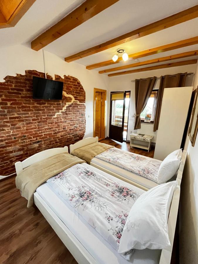 Vila Sofia Haţeg Екстериор снимка