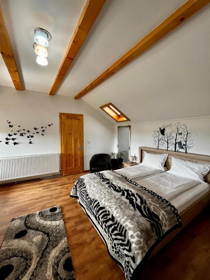 Vila Sofia Haţeg Екстериор снимка