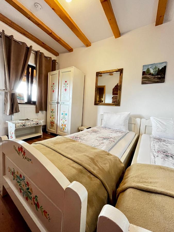 Vila Sofia Haţeg Екстериор снимка