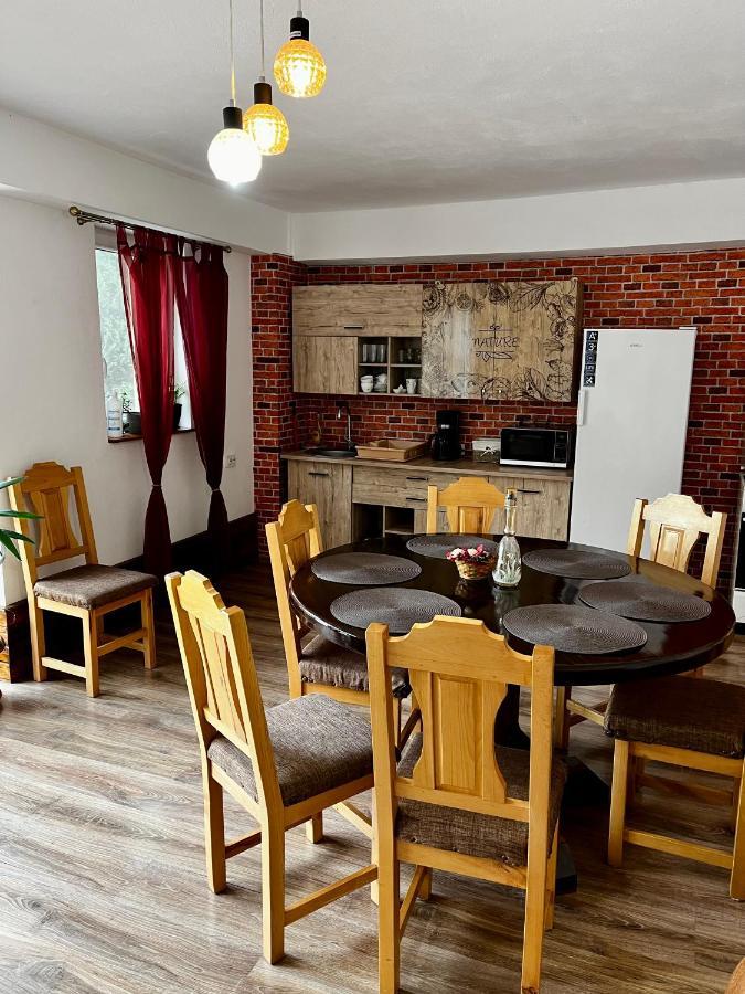 Vila Sofia Haţeg Екстериор снимка