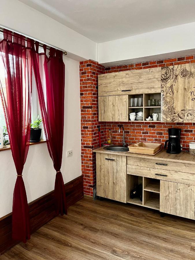 Vila Sofia Haţeg Екстериор снимка