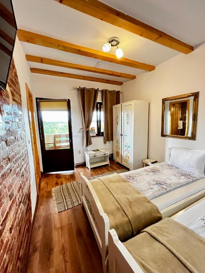 Vila Sofia Haţeg Екстериор снимка