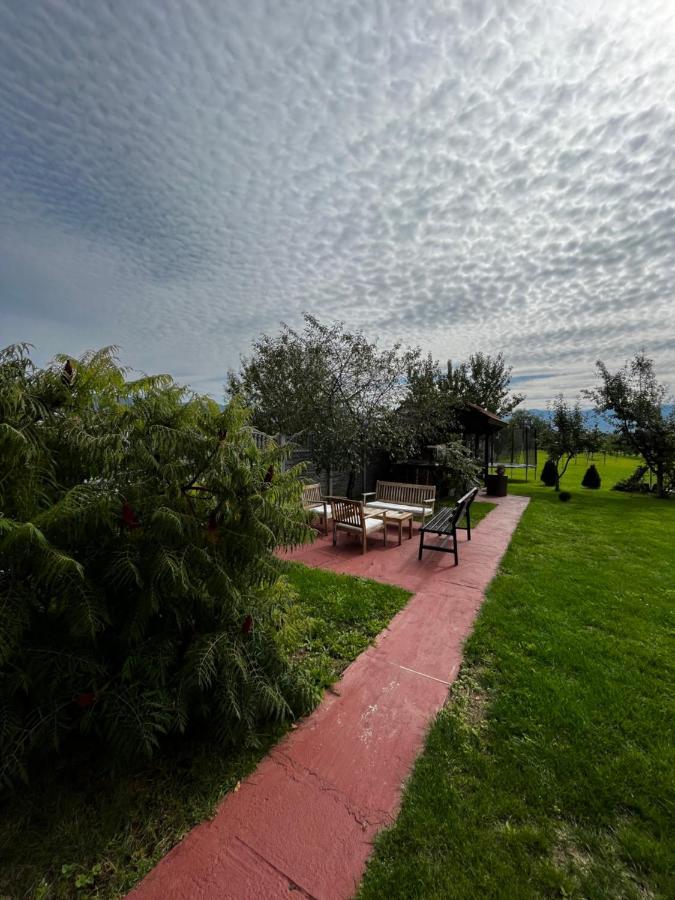 Vila Sofia Haţeg Екстериор снимка
