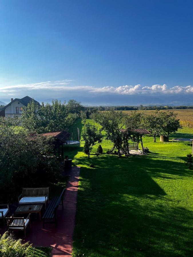 Vila Sofia Haţeg Екстериор снимка