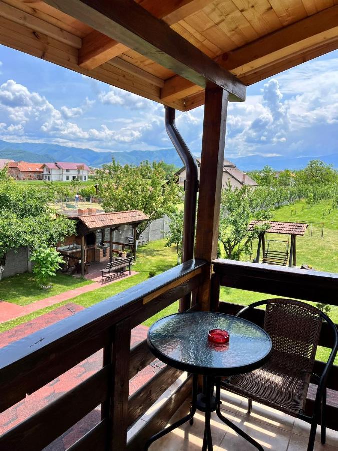 Vila Sofia Haţeg Екстериор снимка