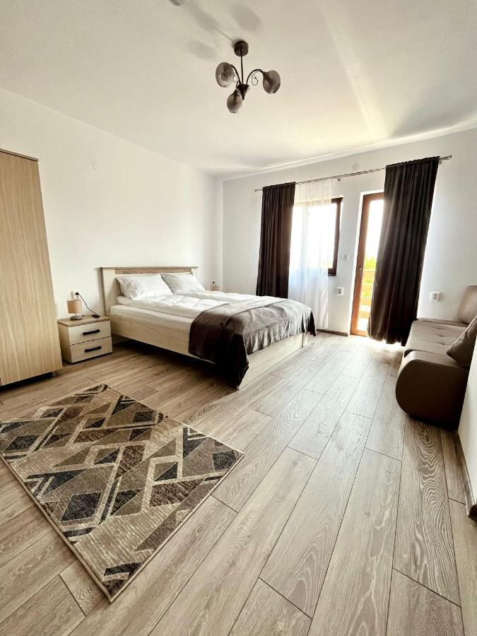 Vila Sofia Haţeg Екстериор снимка