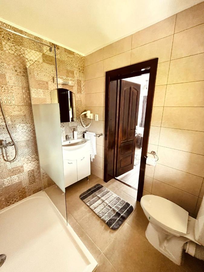 Vila Sofia Haţeg Екстериор снимка
