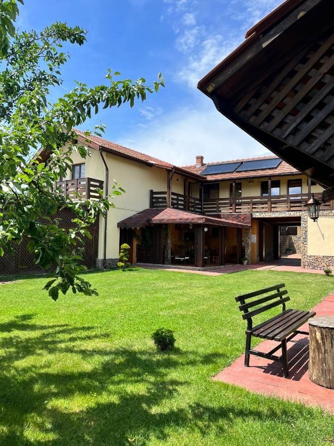 Vila Sofia Haţeg Екстериор снимка