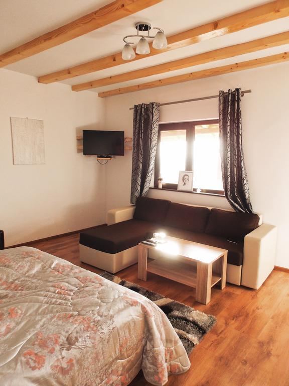Vila Sofia Haţeg Екстериор снимка